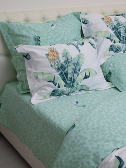 Постельное белье СайлиД B-242 сатин