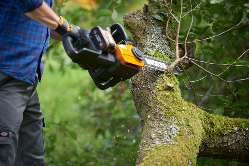 Цепная пила аккумуляторная WORX WG384E.9