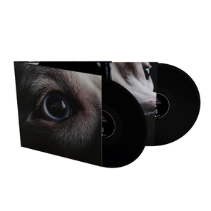 Roger Waters / The Dark Side Of The Moon Redux (2LP)