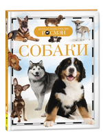 Собаки (ДЭР)