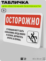 Табличка для обеспечения безопасности "Осторожно, ступени могут быть скользкими", для офиса, по охране труда для предприятия, организаций, 40х30 см, Silver Plane x Айдентика Технолоджи