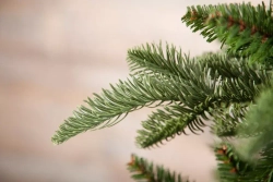 Елка Нормандия в мешочке 90 см., литая хвоя+пвх, Triumph Tree (73635)