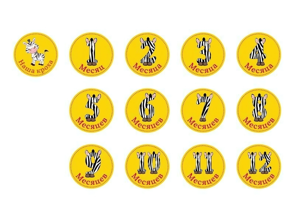 Набор стикеров унисекс "Зебры" (Stick'n Click )