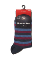 Брестские Носки мужские 2122 CLASSIC (средней длины)
