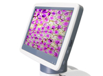 Микроскоп цифровой Levenhuk D85L LCD, монокулярный, может вести фото- и видеозапись исследований