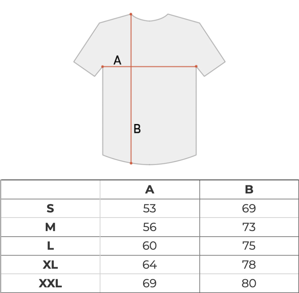 Футболка мужская Nike SB Logo