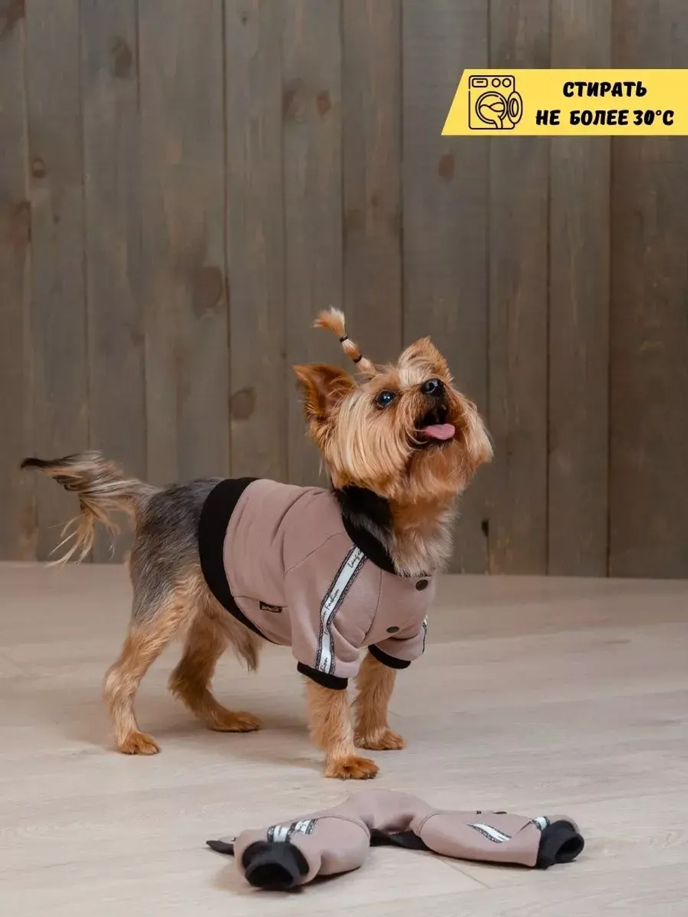Спортивный комбинезон костюм для собак