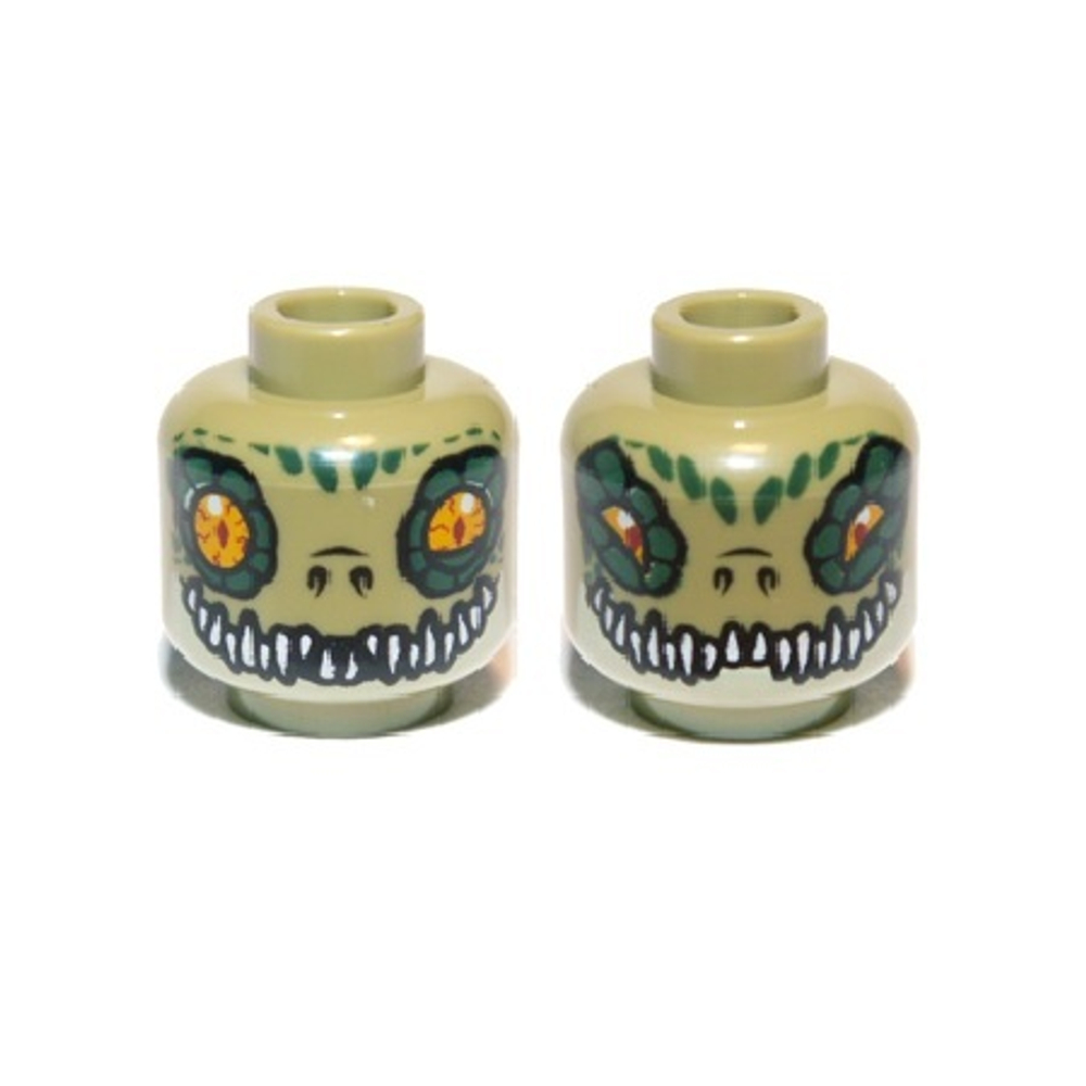 Голова 3626pb0885