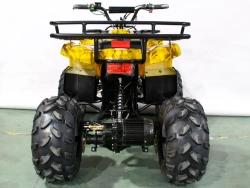 Электроквадроцикл Green Camel Атакама T220 (48V 1000W R8 Дифференциал)