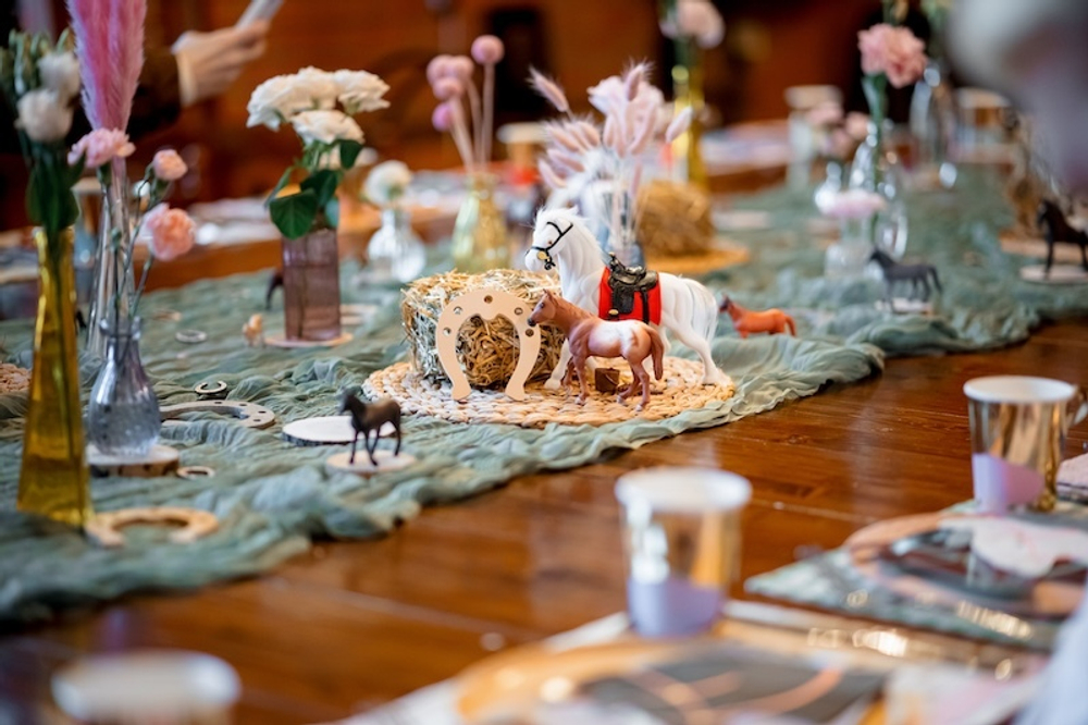 Horse Party