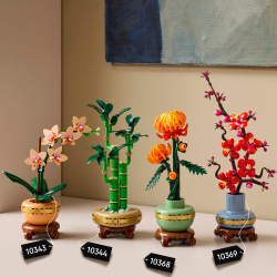 LEGO Botanicals - Маленькая орхидея 10343