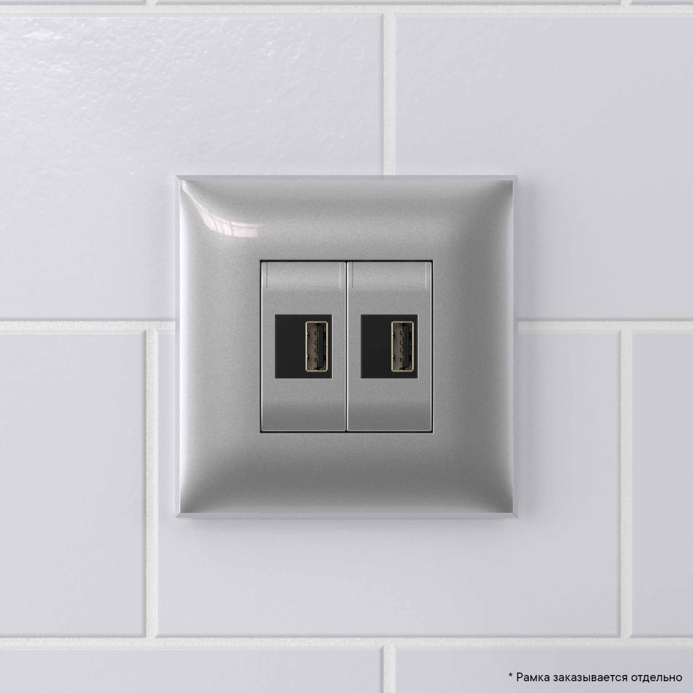 USB зарядное устройство в стену, "Avanti", "Закаленная сталь"