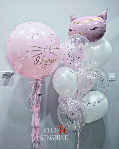 Набор шаров Волшебный кот