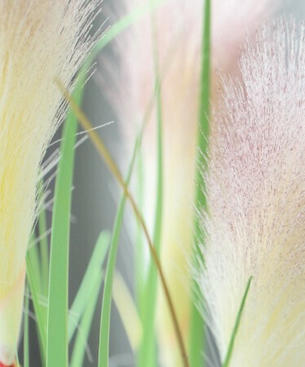 Осока зеленая 4 ветки 90 см.