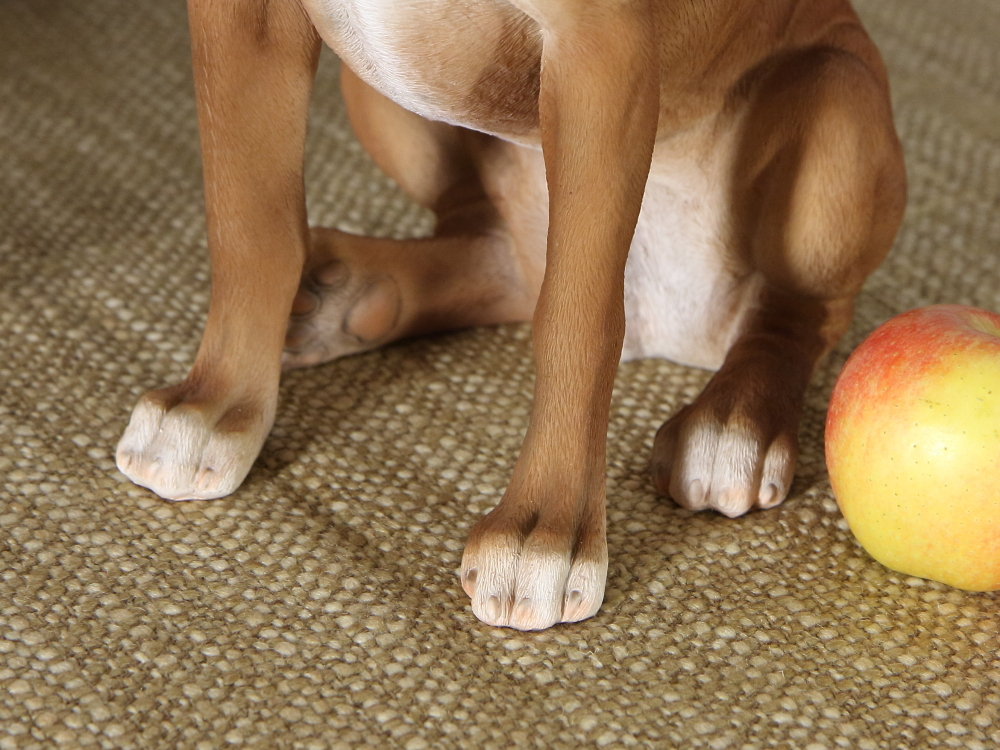Статуэтка собаки породы  Боксер