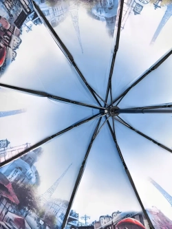 Зонт UNIQUE 3006