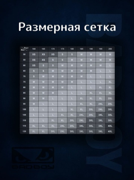 Шорты спортивные тренировочные Bad Boy World USSR черный