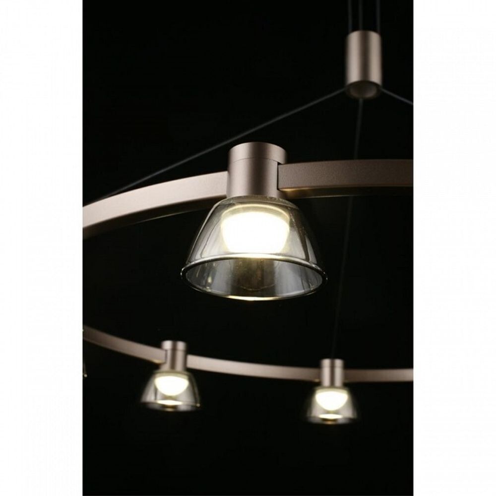 Подвесная люстра Aployt Rezeda APL.788.03.09