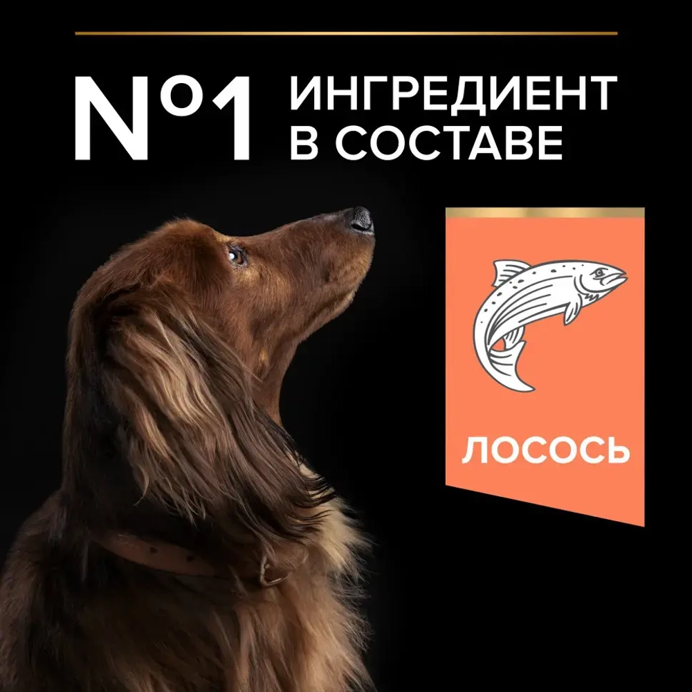 Pro plan сухой корм для взрослых собак мелких и карликовых пород с чувствительной кожей, с высоким содержанием лосося - 2,5 кг + 500 г в подарок