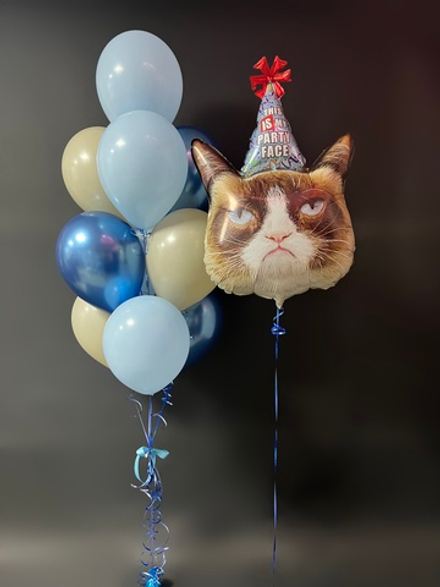 Кот в колпаке, набор шаров