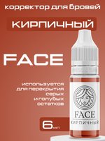 Пигмент FACE корректор "Кирпичный"