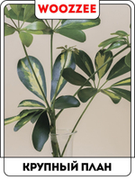 Набор постеров "Зелень в вазе"  3шт.