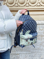 Louis Vuitton Discovery