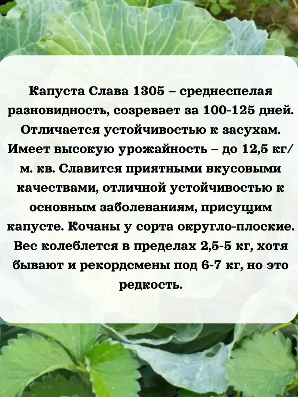 Семена Капуста набор микс 8 шт