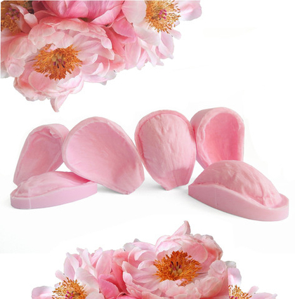 Пион Корал шарм