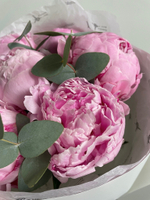 Букет 7 розовых пионов с добавление эвкалипта в оформлении
