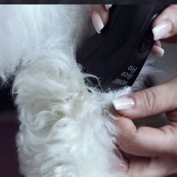 Машинка для стрижки животных Moser Arco Pro (1876-0063)