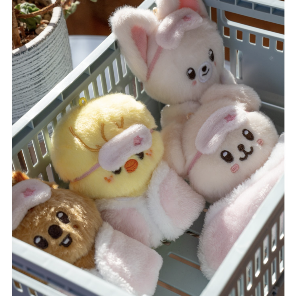 Купить Плюш SKZOO PLUSH 10CM Ver. - STAY in Our Little House
