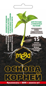 osnova_korney_muzsemcv-02-03-ru1-549x1030