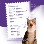 Сухой корм для стерилизованных кошек Best Dinner Cat Adult Holistic Sterilized ягненок с базиликом 10кг