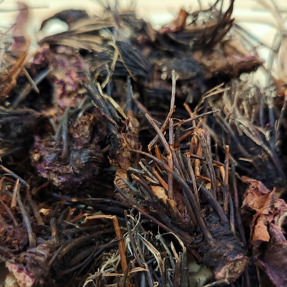 Красная щетка Алтайская (Родиола четырехчленная) корень.