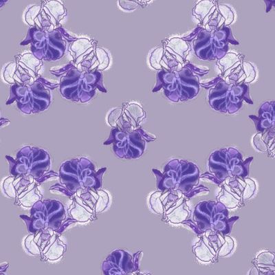 Нежные ирисы