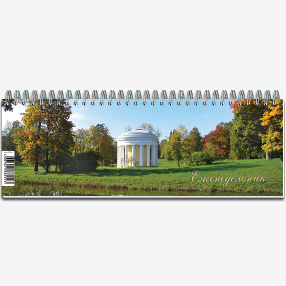 Еженедельник недатированный формат 100*295 на металлическом гребне