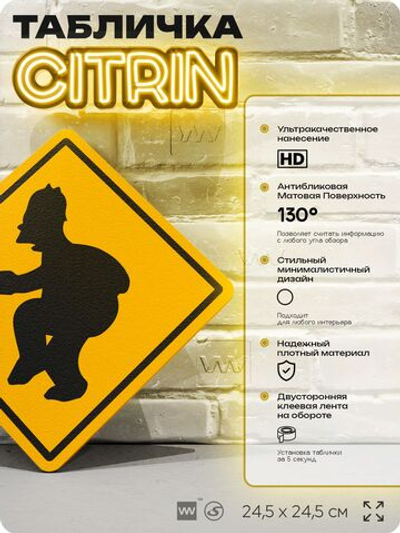 Табличка "Осторожно, Гомер Симпсон" шуточная прикольная табличка на дверь и стену, для офиса и дома, декоративный знак, 24,5х24,5 см, пластиковая, Айдентика Технолоджи