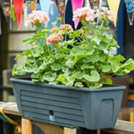 ЯЩИК БАЛКОННЫЙ "LIDO" 2 дренажн. картриджа АНТРАЦИТ (М) V12,3л 60*18*16,5*