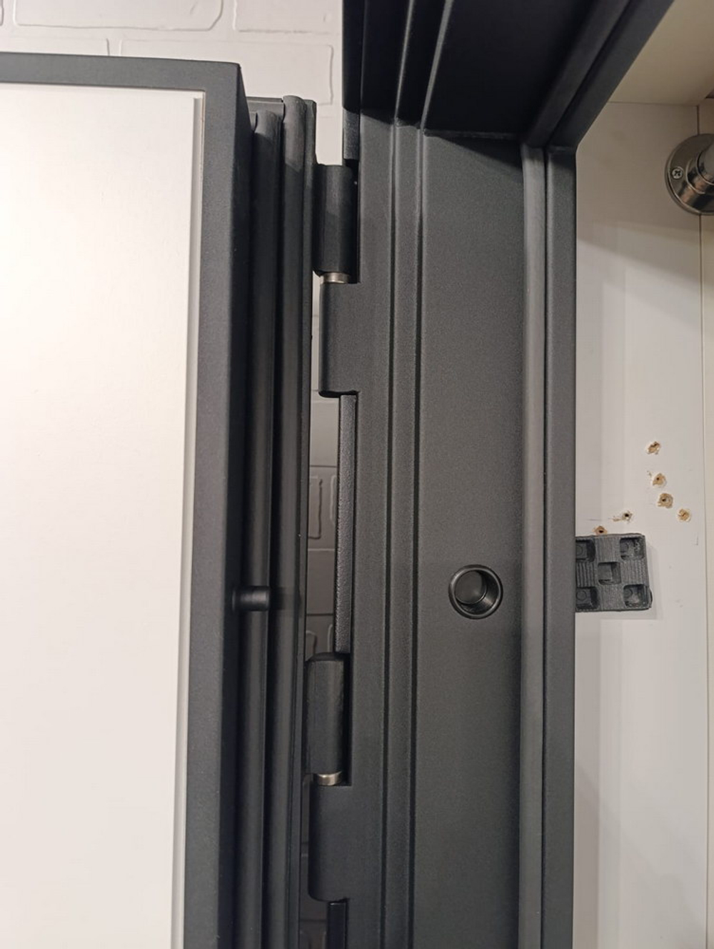 Стальная дверь "Plata"