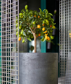 Кашпо TOPPER NERO