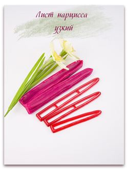 Лист нарцисса узкий
