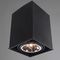 Потолочный светильник Arte Lamp Cardani A5936PL-1BK