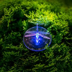 USL-S-106-PT075 Садовый светильник на солнечной батарее Magic dragonfly.Серия Special