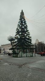 Светодинамическая елка ствольная - встроенная гирлянда: Холодный свет - "Таежная" от 11 до 21 м