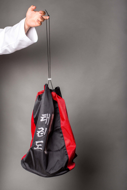 Сумка-рюкзак ProfSport Style