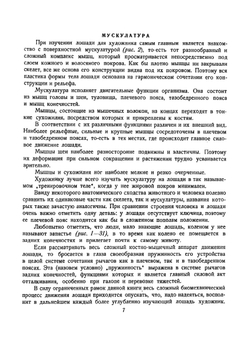 Как рисовать лошадь | А. Лаптев