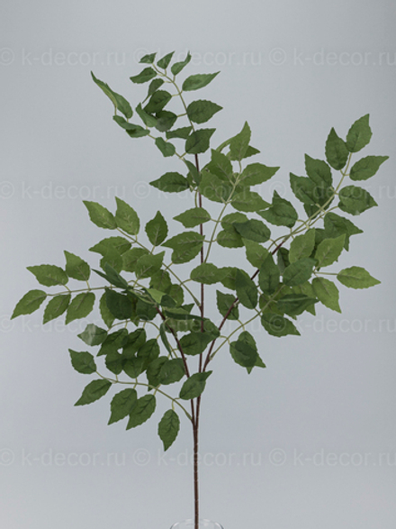 Ветка Прованс