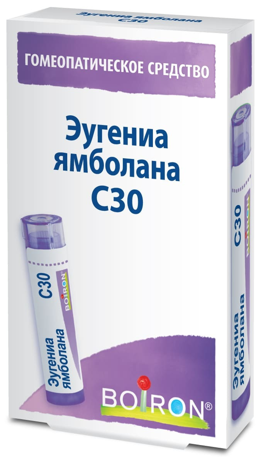 Эугениа ямболана (Eugenia Jambolana) C30 Буарон
