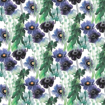 Фиолетовые анемоны